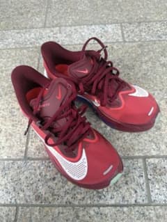NIKE ZOOM FLY06ランニングシューズ 23.0cmのサムネイル