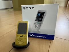 SONY WALKMAN NW-S636F