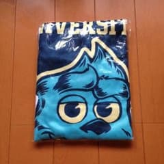 未開封 サリー タオルのサムネイル