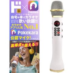 【未開封】ポケカラ　公認マイク　Pokekara ドンキのサムネイル