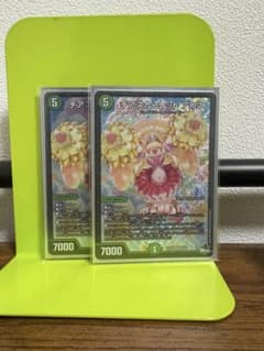 チアスカーレット アカネ 2枚 - メルカリ