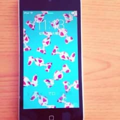 iPod touch5(外カメラ無し)のサムネイル