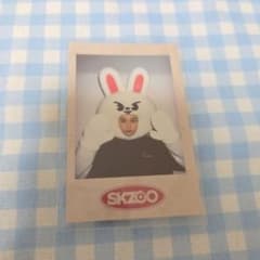 Stray Kids SKZOO ポラロイド リノのサムネイル