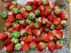 佐賀のいちごさん、秀品小粒1kg全込みのサムネイル