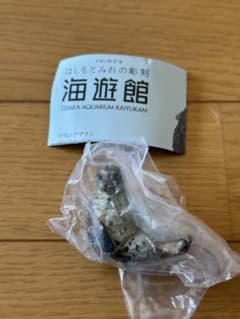 【海遊館】ガチャ ワモンアザラシのサムネイル