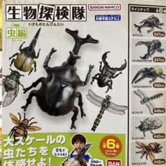 生物探検隊～虫編〜のサムネイル