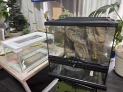 プ*P様 【直接引き取り限定】爬虫類用 飼育ケージ ガラス製 観音開き