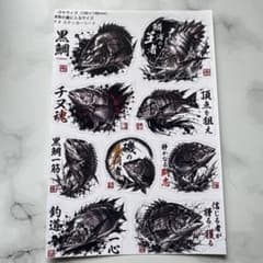 チヌ（黒鯛）フォト光沢ホワイトステッカーのサムネイル
