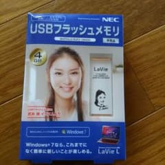 非売品＊武井咲イラスト入りUSBフラッシュメモリ＊のサムネイル