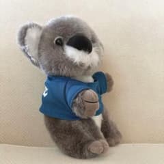 コアラ ぬいぐるみのサムネイル