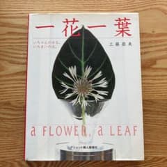 一花一葉のサムネイル
