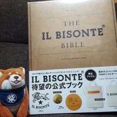 イルビゾンテムック本のサムネイル