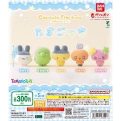 たまごっち カプセルフロッキーズ まめっちのサムネイル