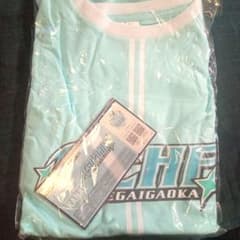 にじ甲 Tシャツ ユニフォーム 2025 願ヶ丘高校のサムネイル