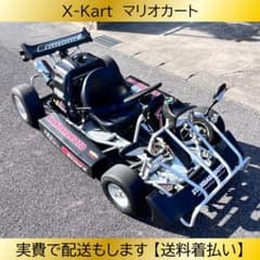 公道を走れるカート】X-KART Xカート マリオカート もちろん走れます 