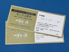早い者勝ち❗️通常2人7,000円がお得価格 みなとみらい 万葉セット入館券のサムネイル