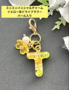 T ミニミニ イニシャルチャーム イエロー系ドライフラワー レジン