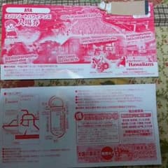 【最終値下げ】スパリゾートハワイアンズ入場券二枚セットのサムネイル