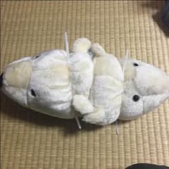 よね様専用のサムネイル