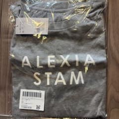 m*セ様 ALEXIA STAM × NERGY ビッグロゴTシャツ グレーのサムネイル
