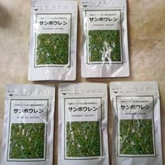 サンポウレン　三宝　バラ売り可のサムネイル