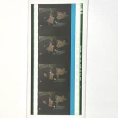 Free! フィルム　映画　入場特定　松岡凛　山崎宗介のサムネイル