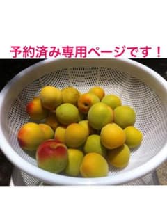 5キロ！男ume様2L3L以上専用ページでございます！のサムネイル