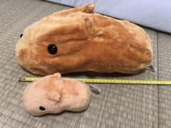 カピバラさん　ぬいぐるみ　2匹のサムネイル