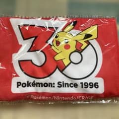ポケモン 30周年記念 2WAY ラグ ウェア ピカチュウのサムネイル