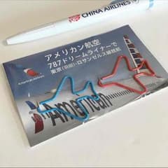 アメリカン航空 クリップのサムネイル