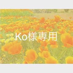 Ko様専用のサムネイル