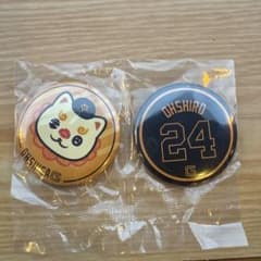 ジャイアンツくじのサムネイル