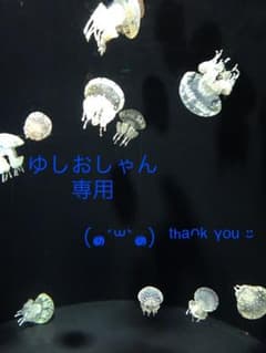 専用のサムネイル