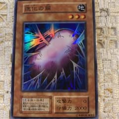 m77406071982_1.jpg?1672385790