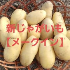 新じゃがいも【メークイン】農薬不使用のサムネイル