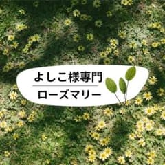 よしこ様専門のサムネイル