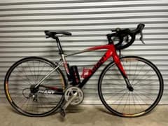 【ベーやん様専用】ジャイアント GIANT DEFY 1 Mサイズのサムネイル