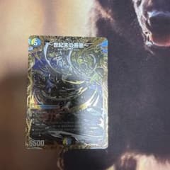 サーガインゼンアク金トレ１枚のサムネイル