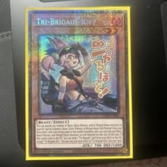 ダストシュート EU版 英語版 英語 25th シークレット 遊戯王 
