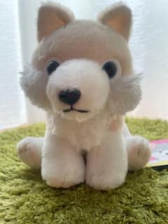 もふっとオオカミ　ぬいぐるみ　大陸ちゃん　狼のサムネイル