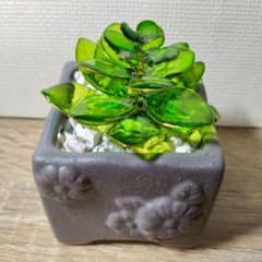 枯れない多肉植物＊グリーンインテリア＊グレーの鉢＊ワイヤーアートのサムネイル
