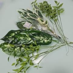 あきママ様 リクエスト 2点 まとめ商品のサムネイル