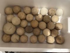軟式野球ボール まとめ売り 練習用のサムネイル