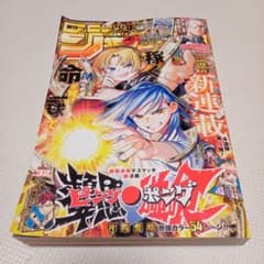 【まとめ売り29冊】週刊少年ジャンプ　2025年1号ー32号 まとめ売り29冊】週刊少年ジャンプ 2025年1号ー32号 81aiT6Ao5IL.jpg