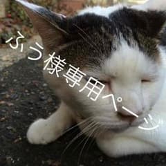 ふう様専用ページのサムネイル