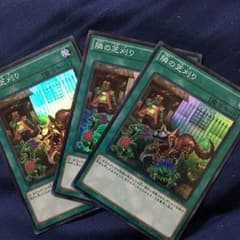 遊戯王 隣の芝刈り スーパー3枚のサムネイル