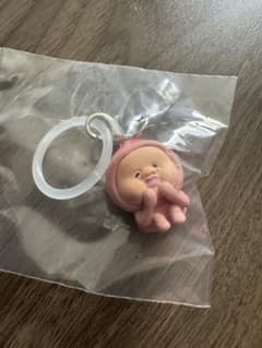 こびとずかん めじるしアクセサリー2 カクレモモジリ シークレットのサムネイル