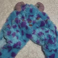 サリー ファンキャップのサムネイル
