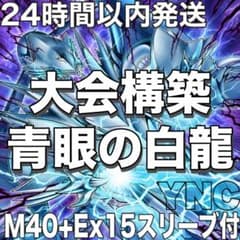 068遊戯王 原石 青眼 大会構築デッキ 神を超えたしもべ-青眼の究極竜
