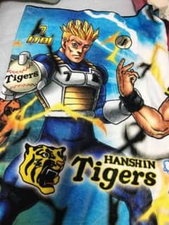 阪神タイガースのサムネイル